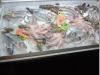Fischplatte