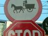 Stop f&uuml;r das Gespann