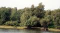 Natur pur